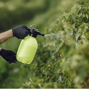 Fertilizers